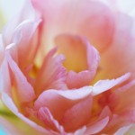 Writing Tip: A Character, a Personality and a Name