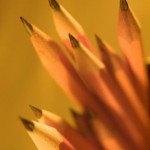 Writing Tip: Annie Dillard and the Writing Life by Alexander Chee