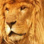 Writing: Baby Steps Gone Wild